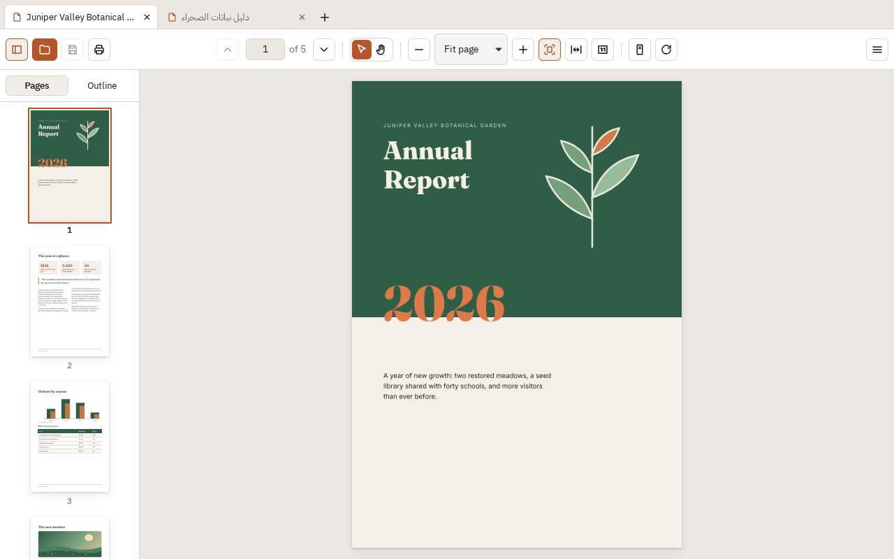 PDFRivet showing an annual report, with page thumbnails in the sidebar and a second document open in another tab